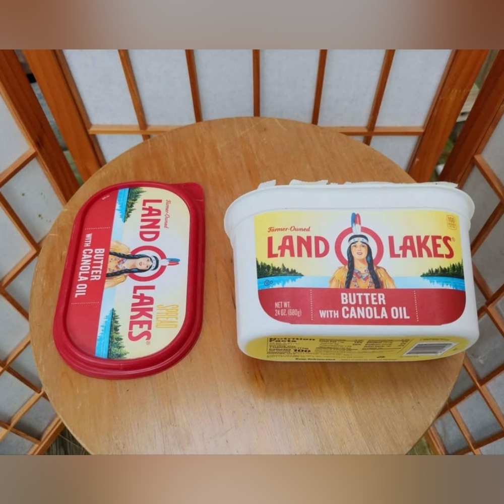 Collectible Land O Lakes Butter Container ft Native American Indian Retired Logo